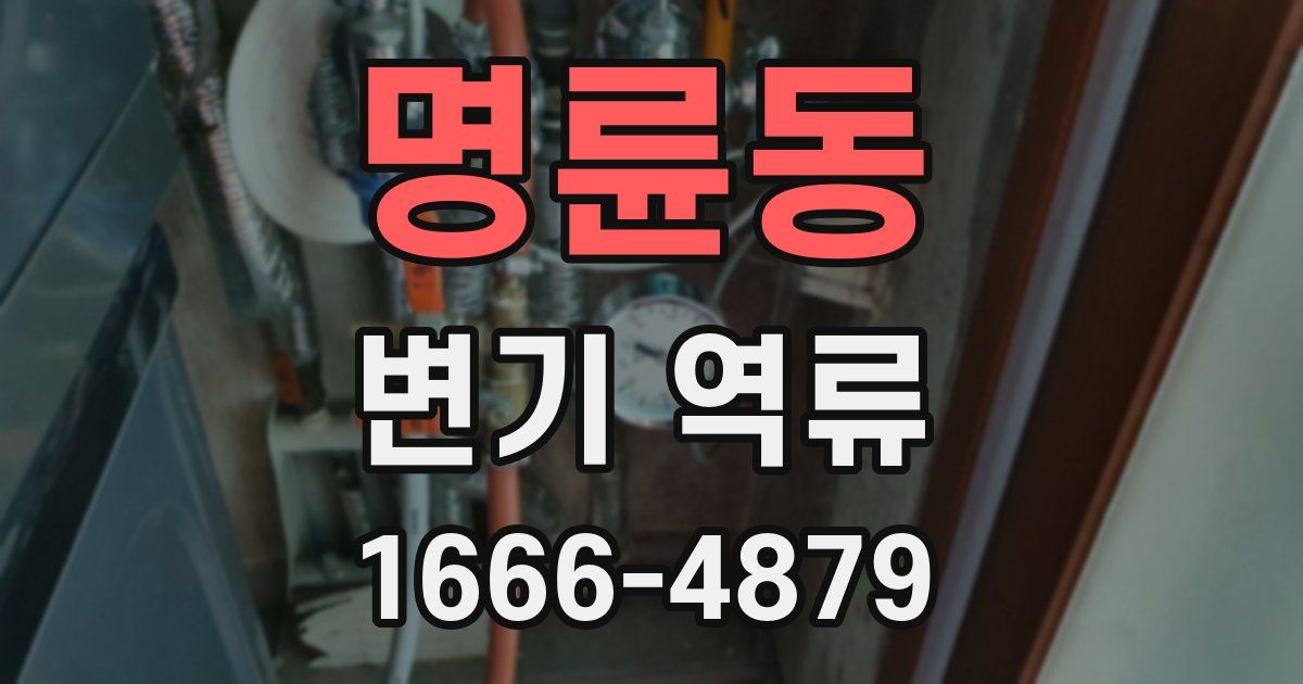 명륜동 변기 역류