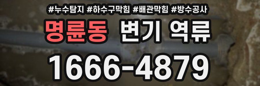 명륜동 변기 역류