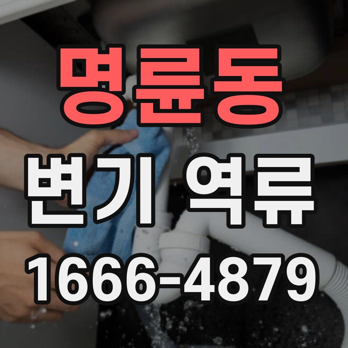 명륜동 변기 역류