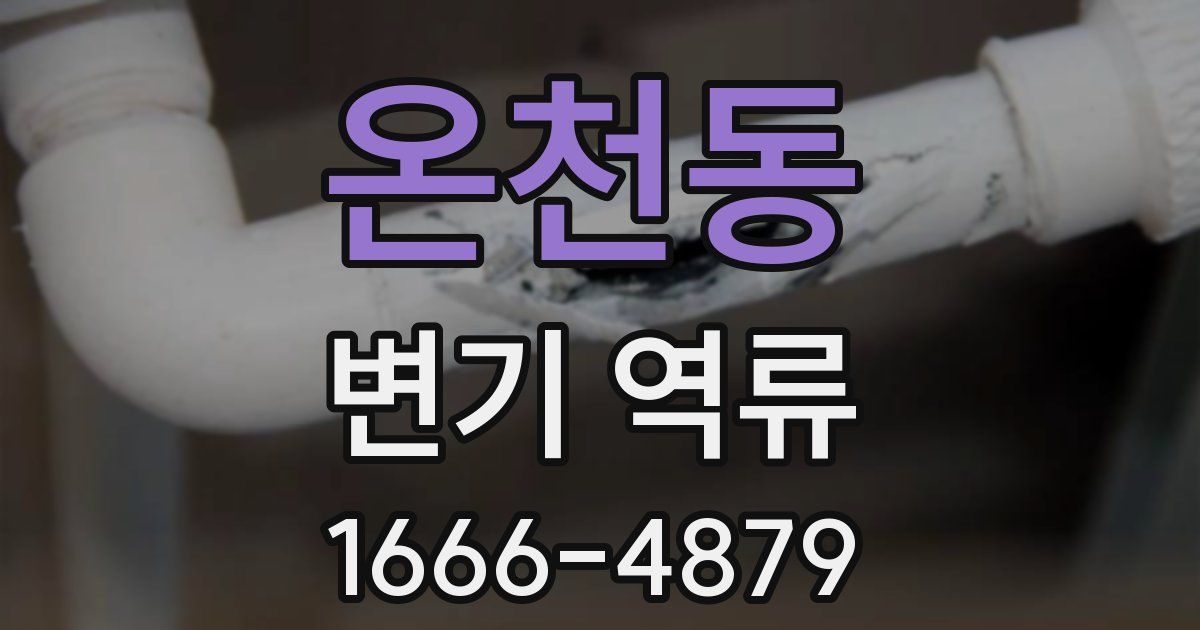 온천동 변기 역류