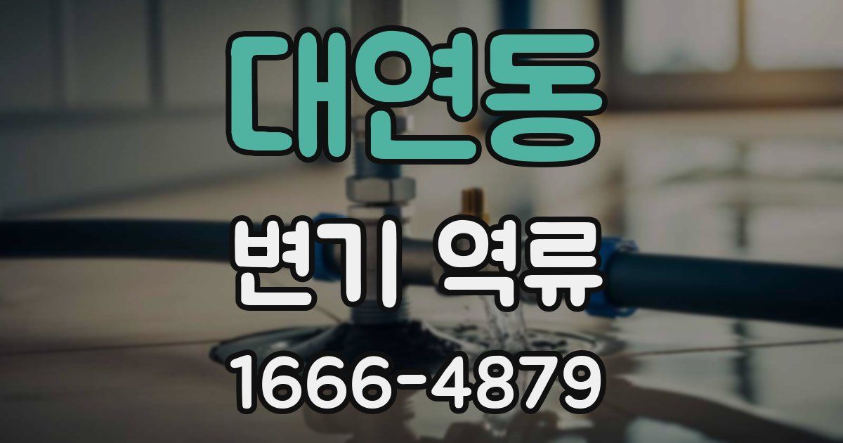 대연동 변기 역류