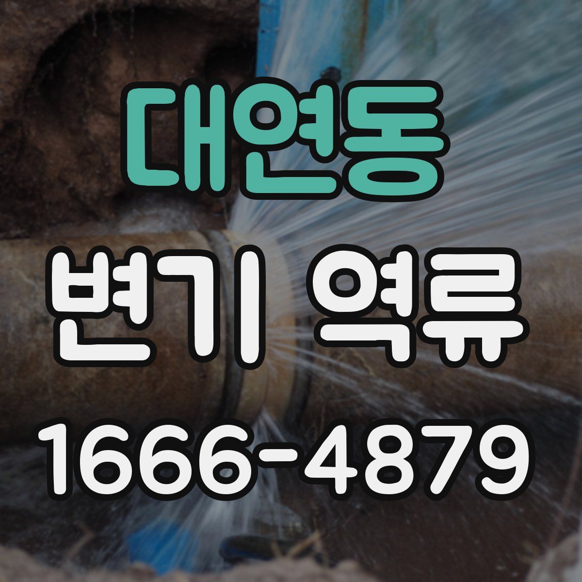 대연동 변기 역류