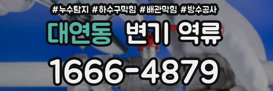 대연동 변기 역류
