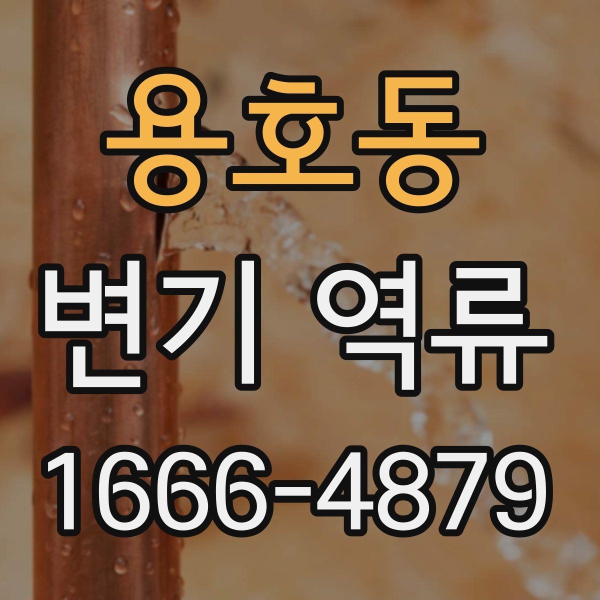 용호동 변기 역류 문제를 예방하는 일상 관리