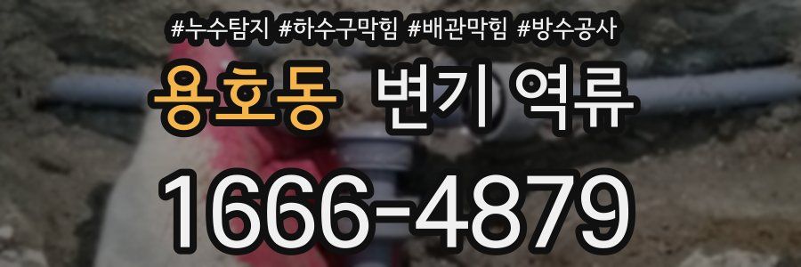 용호동 변기 역류