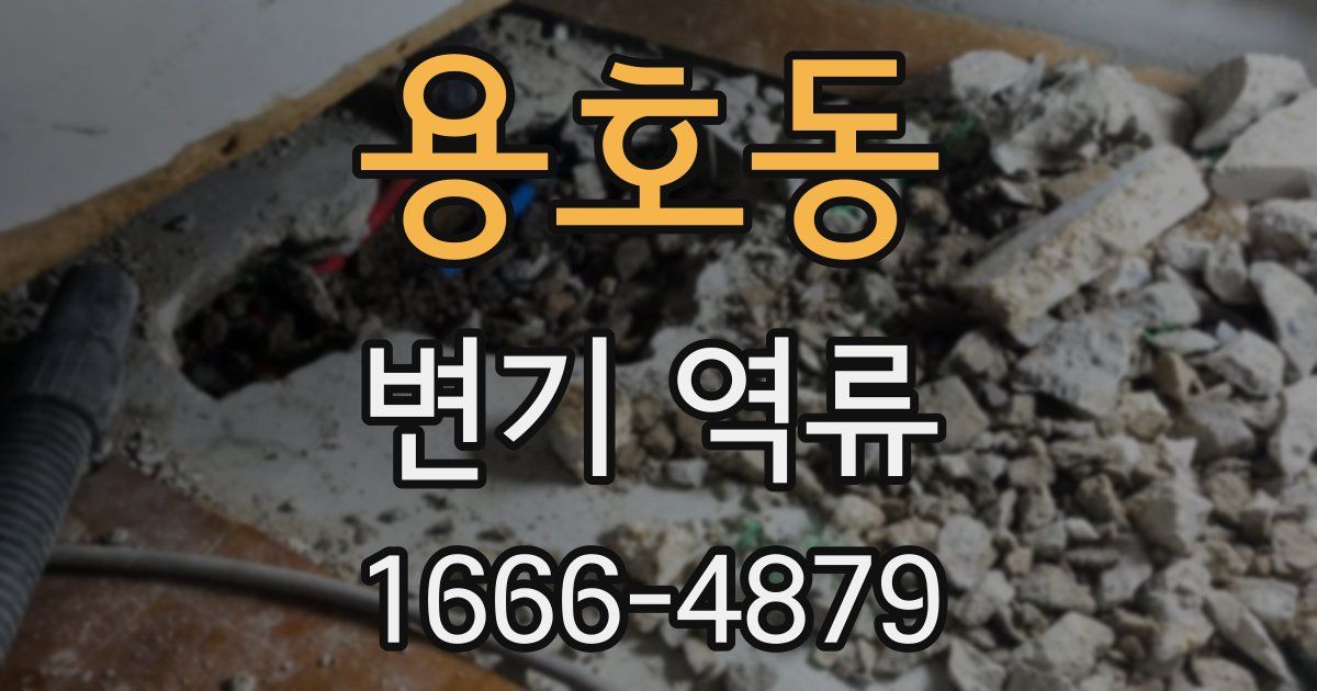 용호동 변기 역류