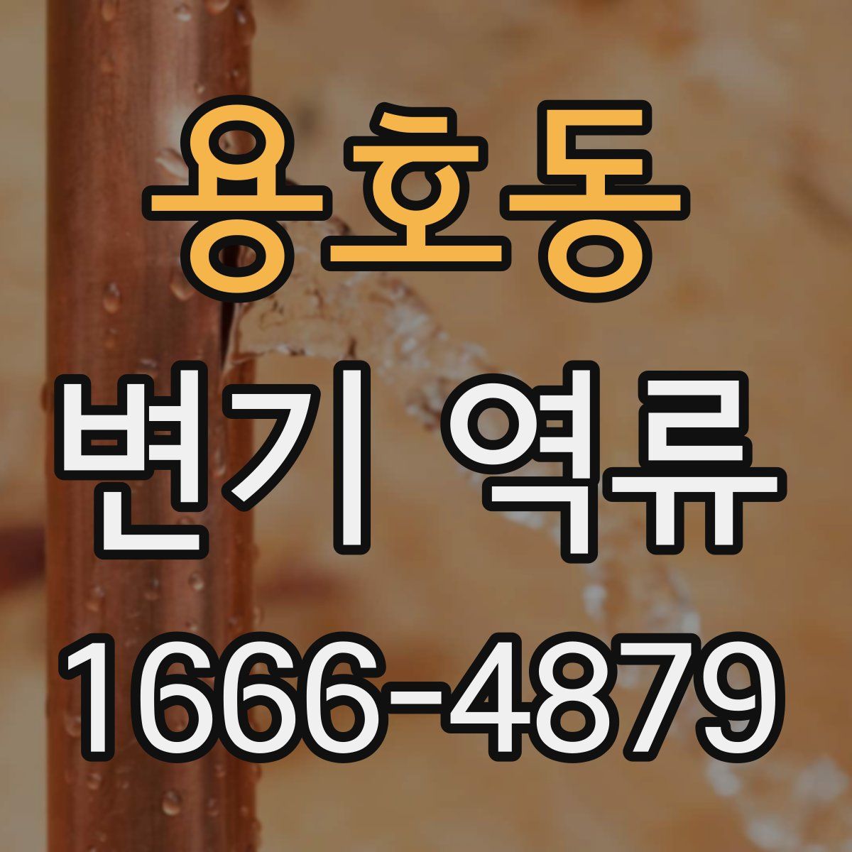 용호동 변기 역류