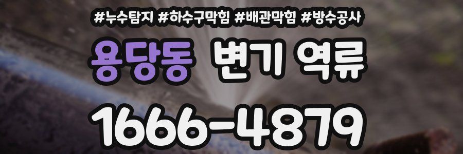 용당동 변기 역류