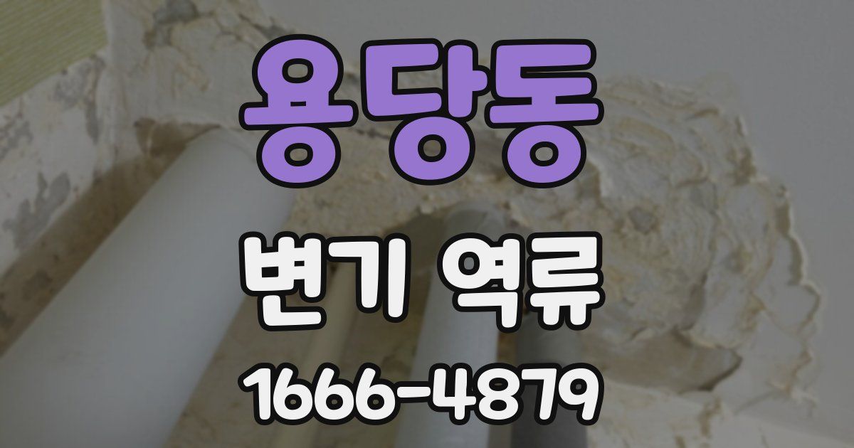 용당동 변기 역류