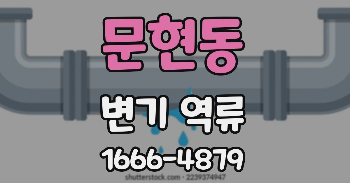 문현동 변기 역류