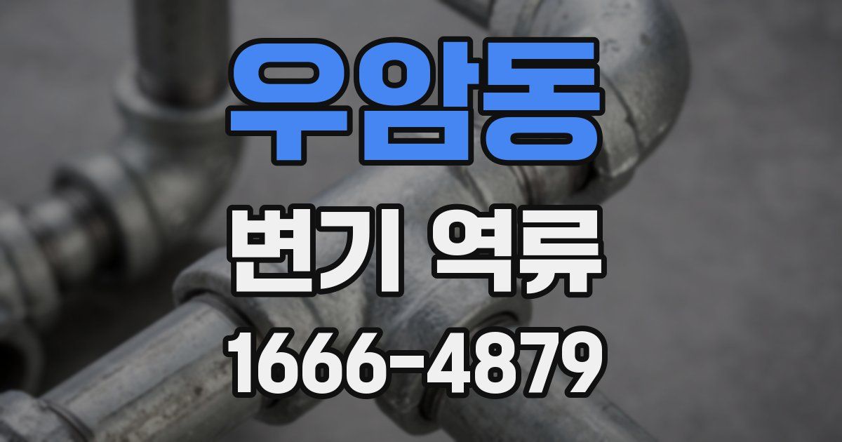 우암동 변기 역류