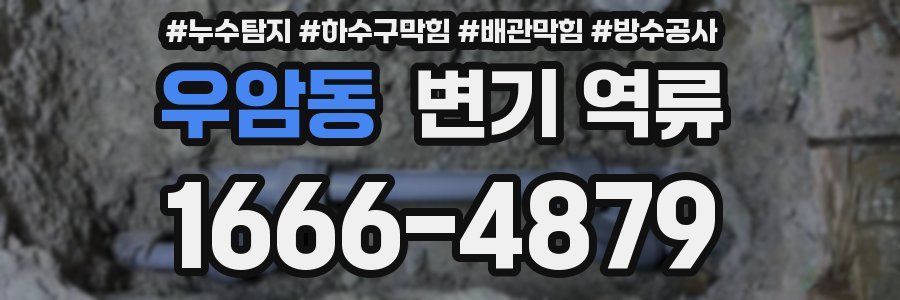 우암동 변기 역류