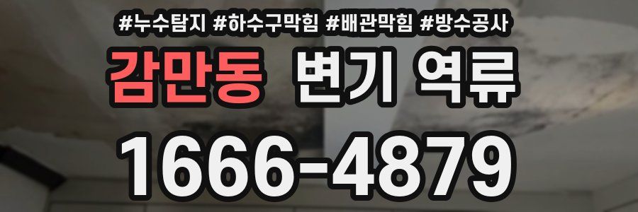감만동 변기 역류