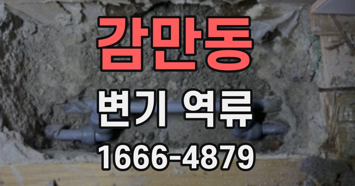 감만동 변기 역류