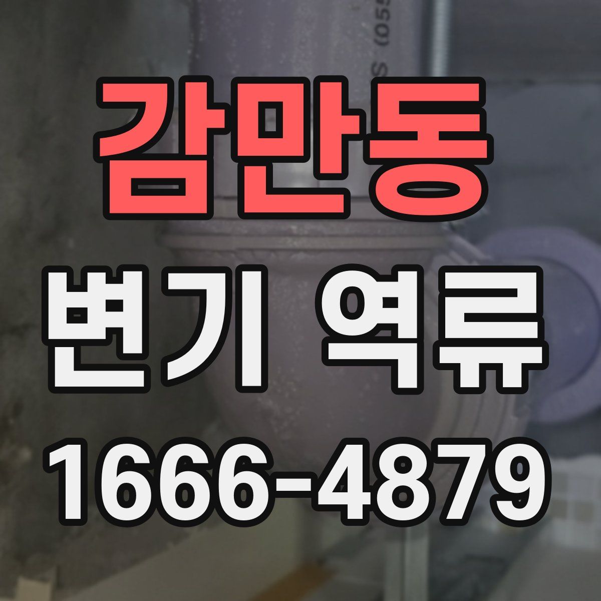 감만동 변기 역류