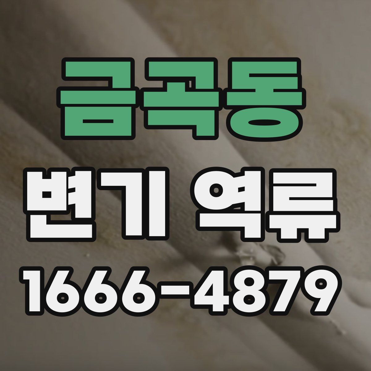 금곡동 변기 역류