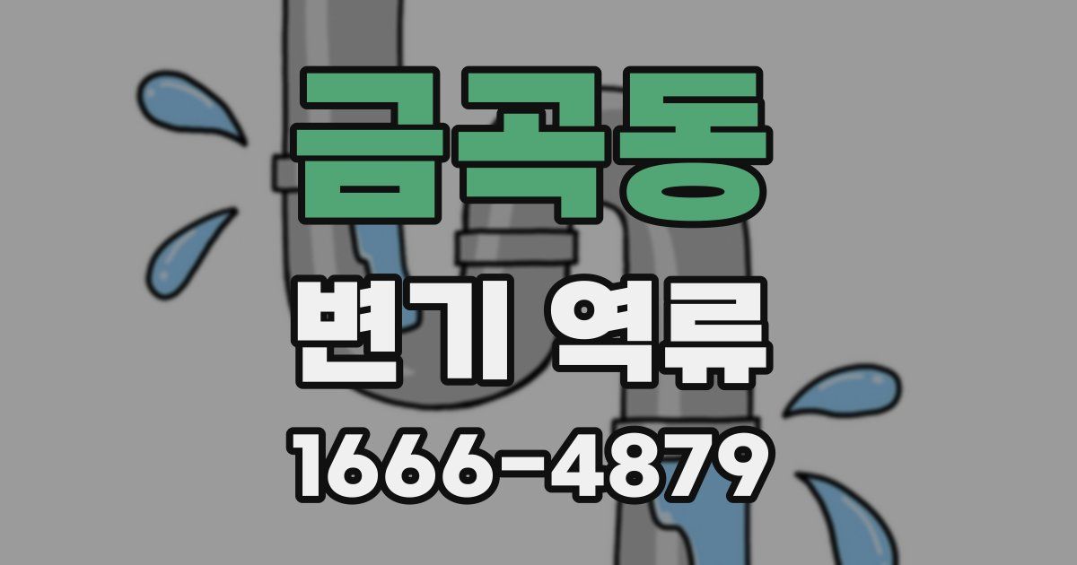 금곡동 변기 역류