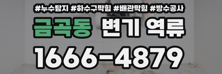 금곡동 변기 역류