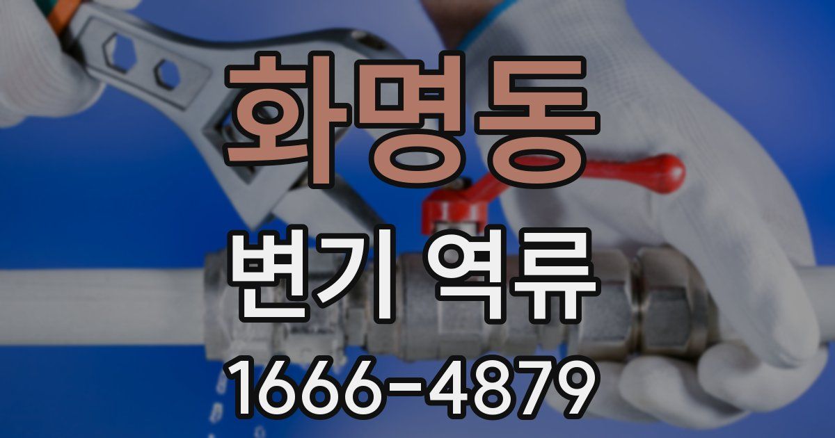 화명동 변기 역류