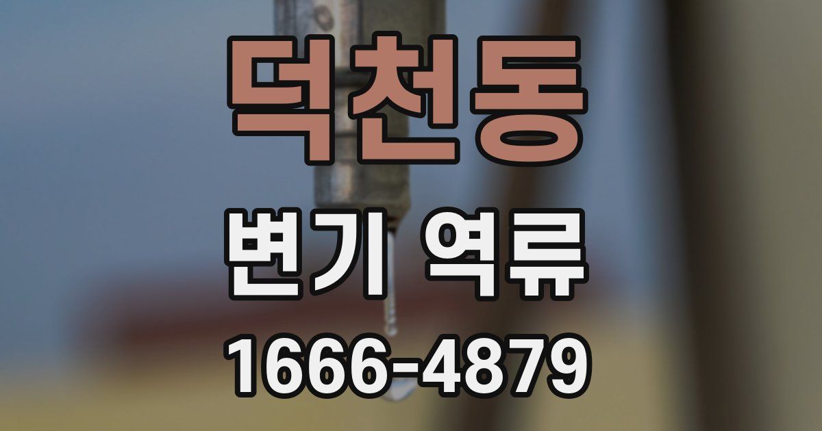 덕천동 변기 역류