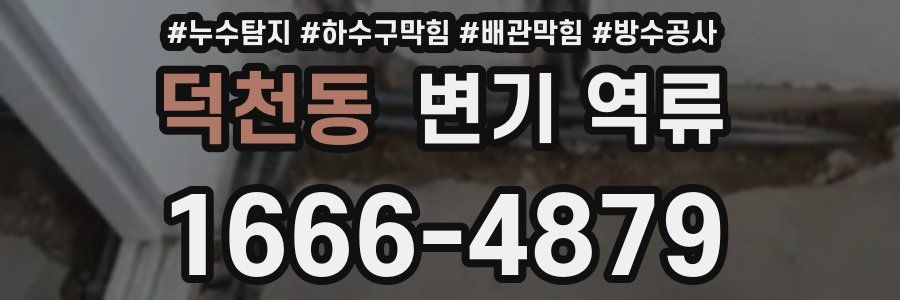 덕천동 변기 역류