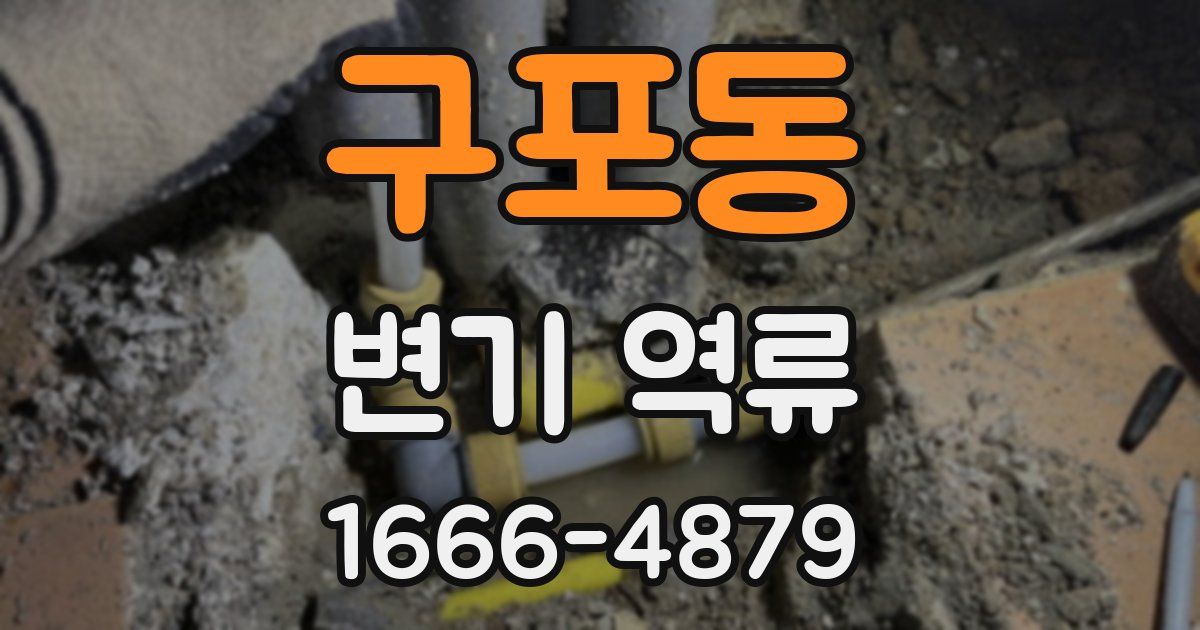 구포동 변기 역류