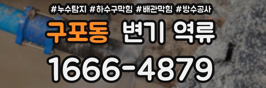 구포동 변기 역류