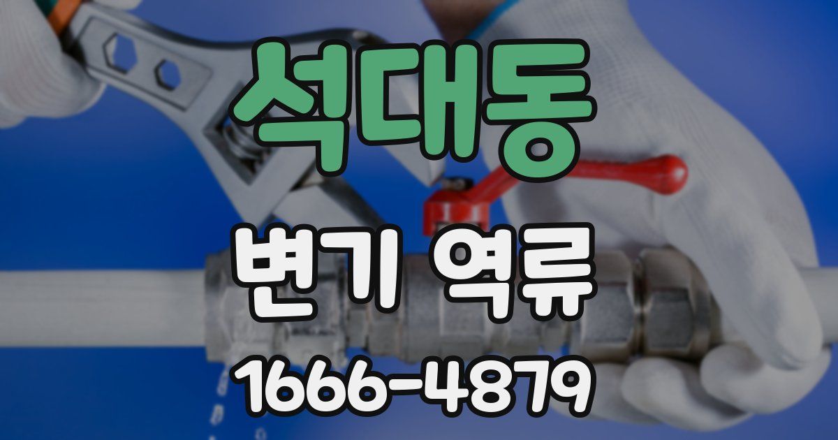 석대동 변기 역류