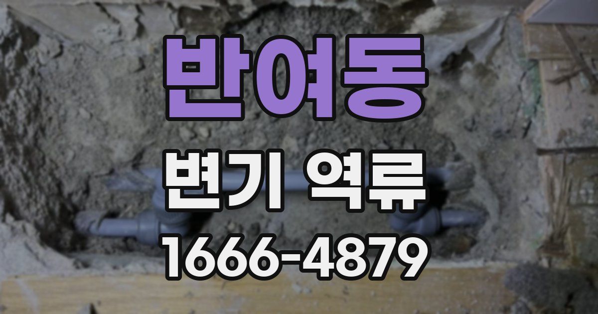 반여동 변기 역류