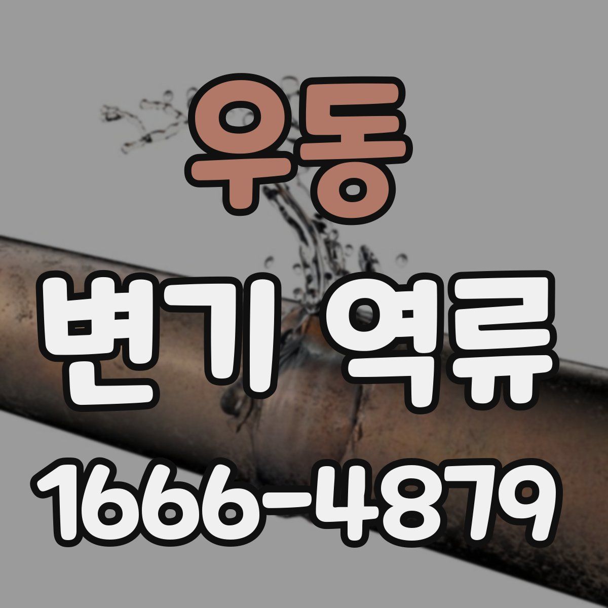 우동 변기 역류