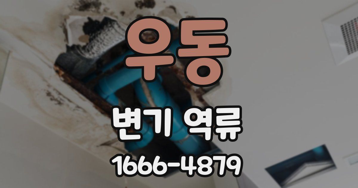 우동 변기 역류