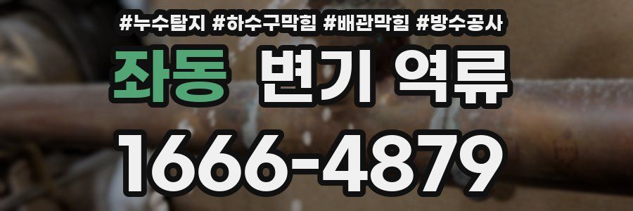 좌동 변기 역류
