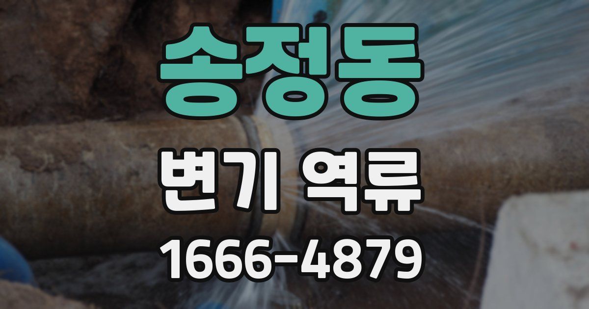 송정동 변기 역류