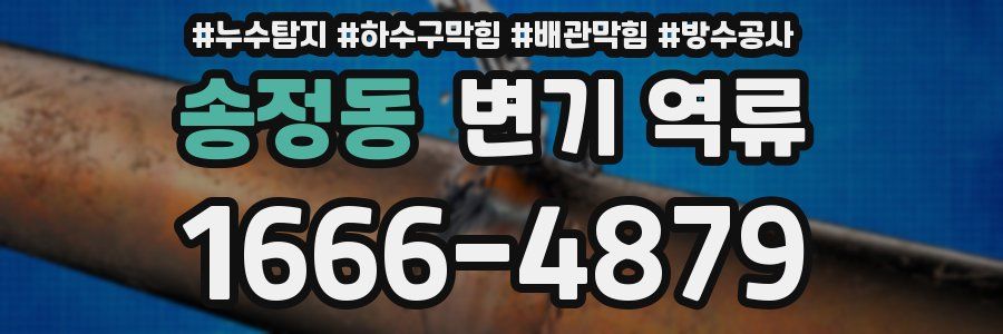 송정동 변기 역류