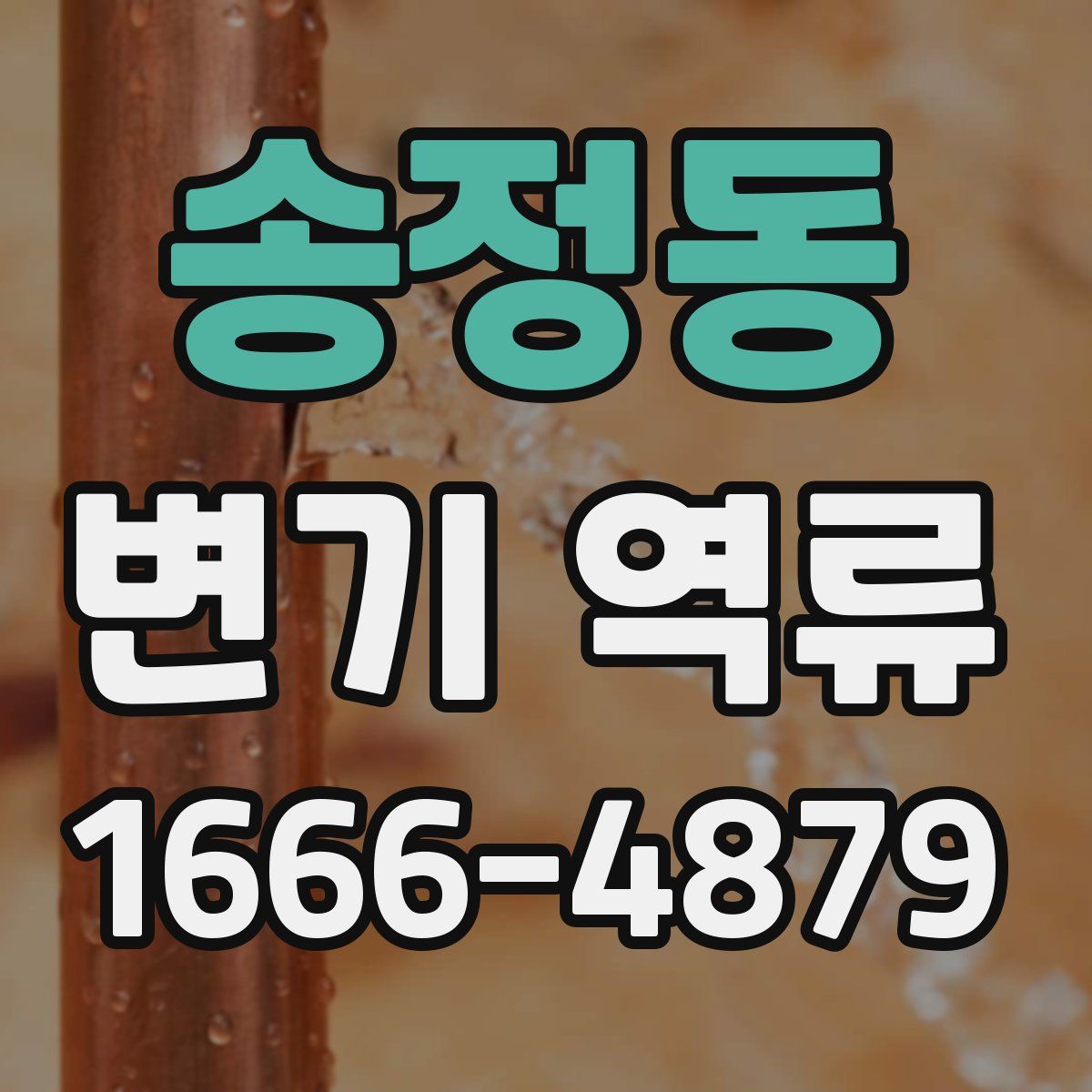 송정동 변기 역류