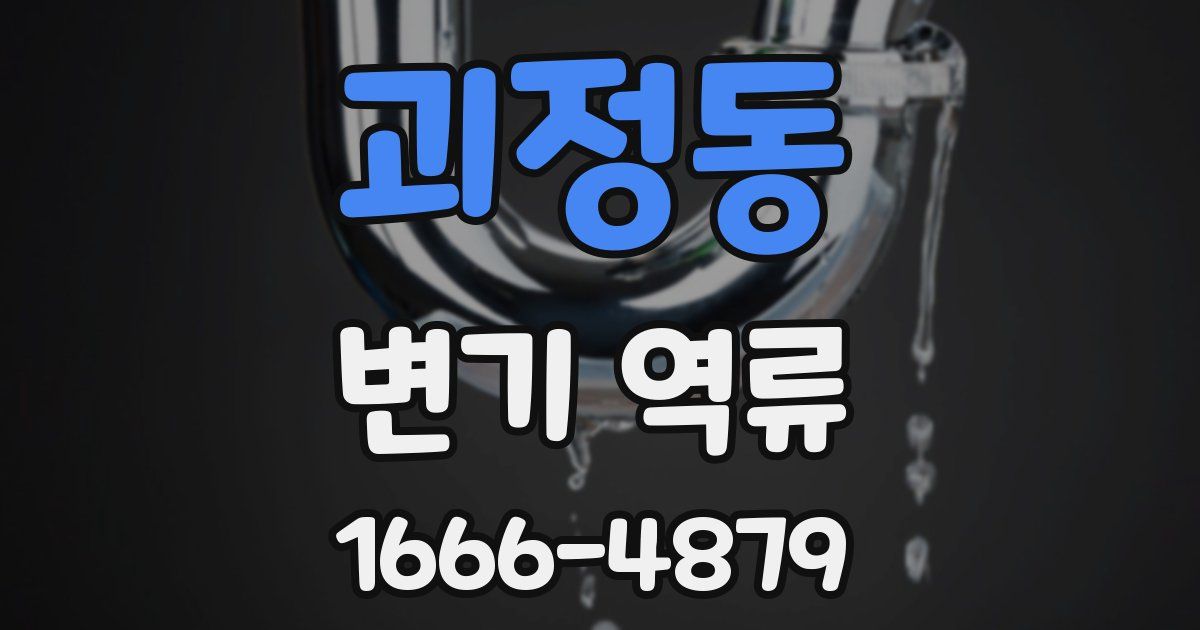 괴정동 변기 역류