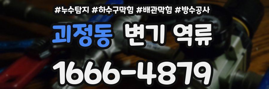 괴정동 변기 역류