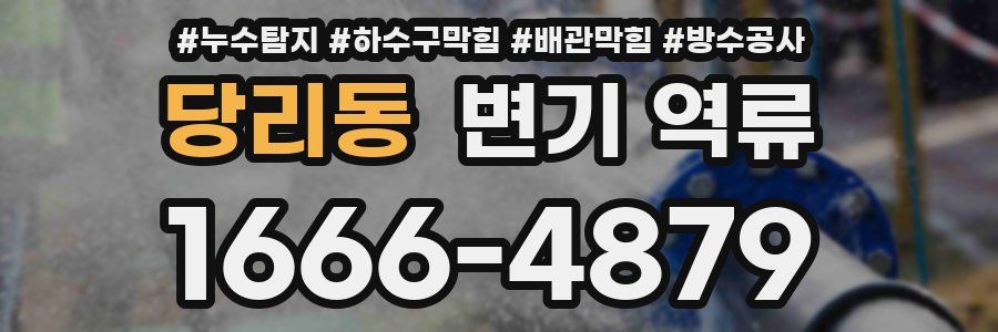 당리동 변기 역류