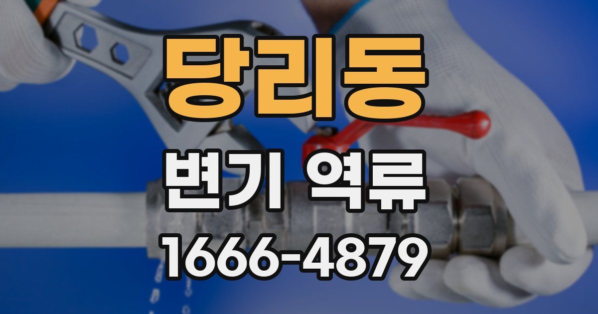 당리동 변기 역류