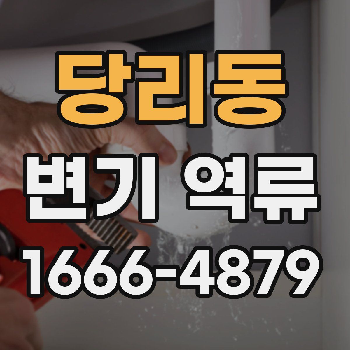 당리동 변기 역류