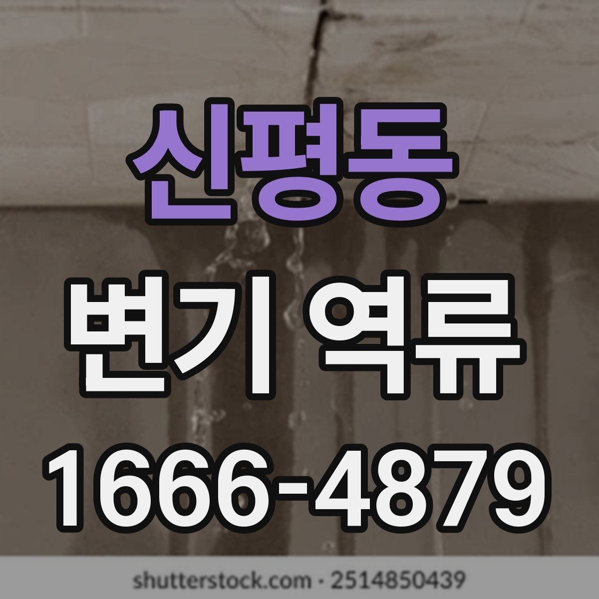 신평동 변기 역류 원인별로 달라지는 대처 방법