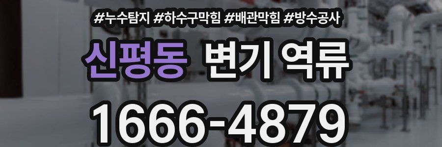 신평동 변기 역류
