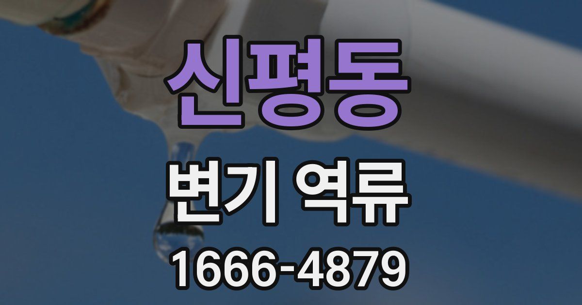 신평동 변기 역류