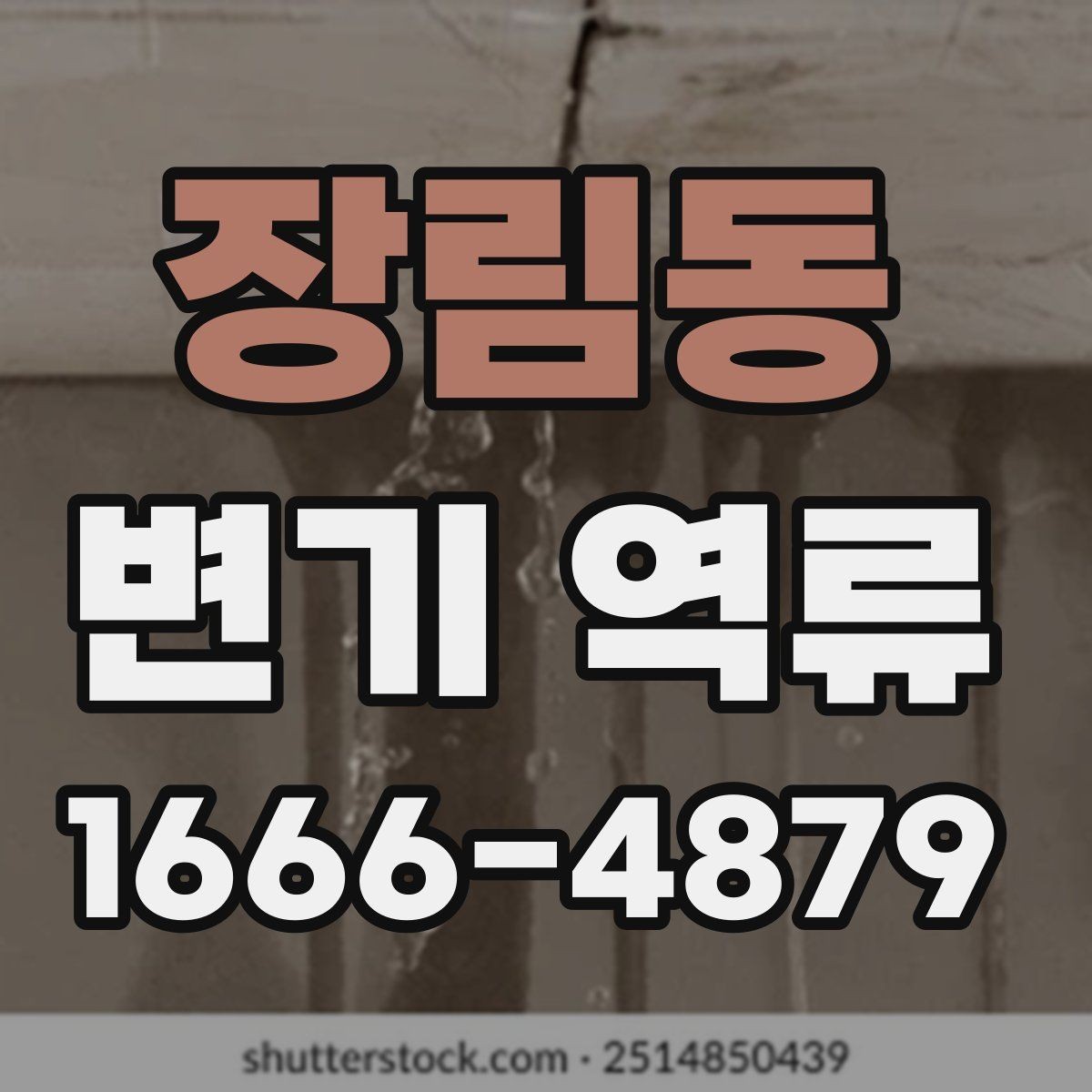 장림동 변기 역류 원인별로 달라지는 확인 방법