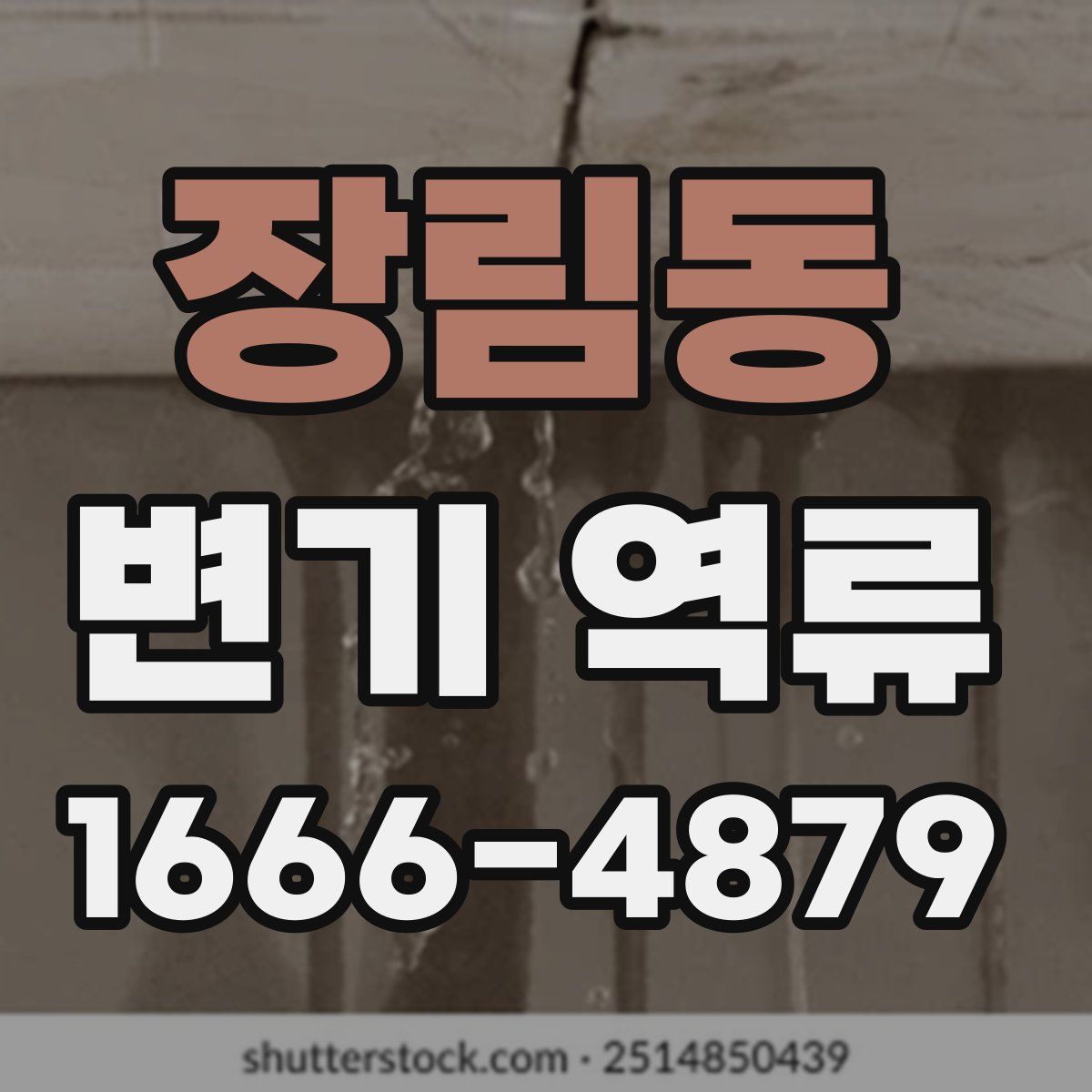 장림동 변기 역류