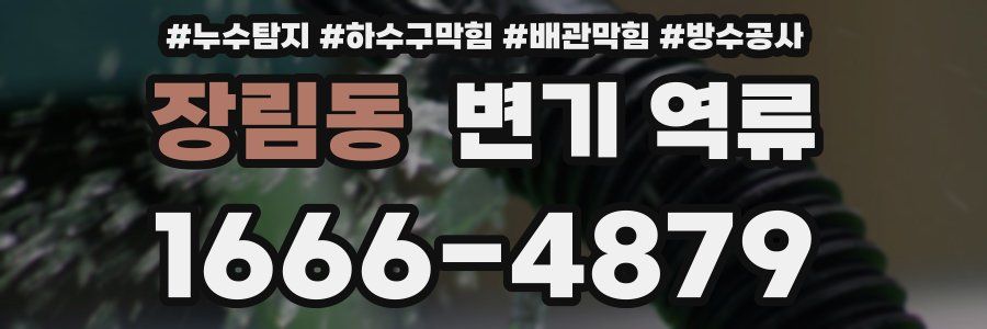 장림동 변기 역류