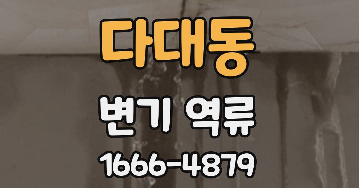 다대동 변기 역류