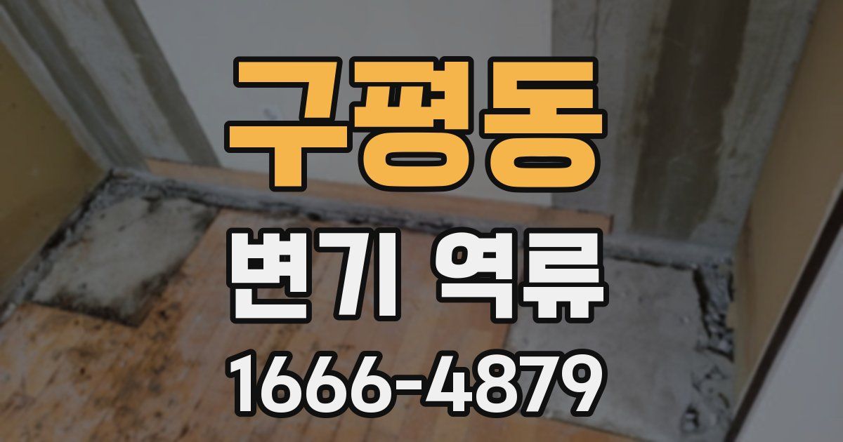 구평동 변기 역류