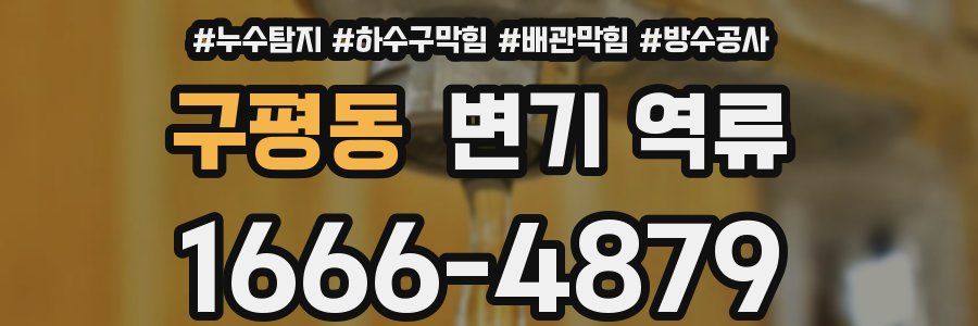 구평동 변기 역류