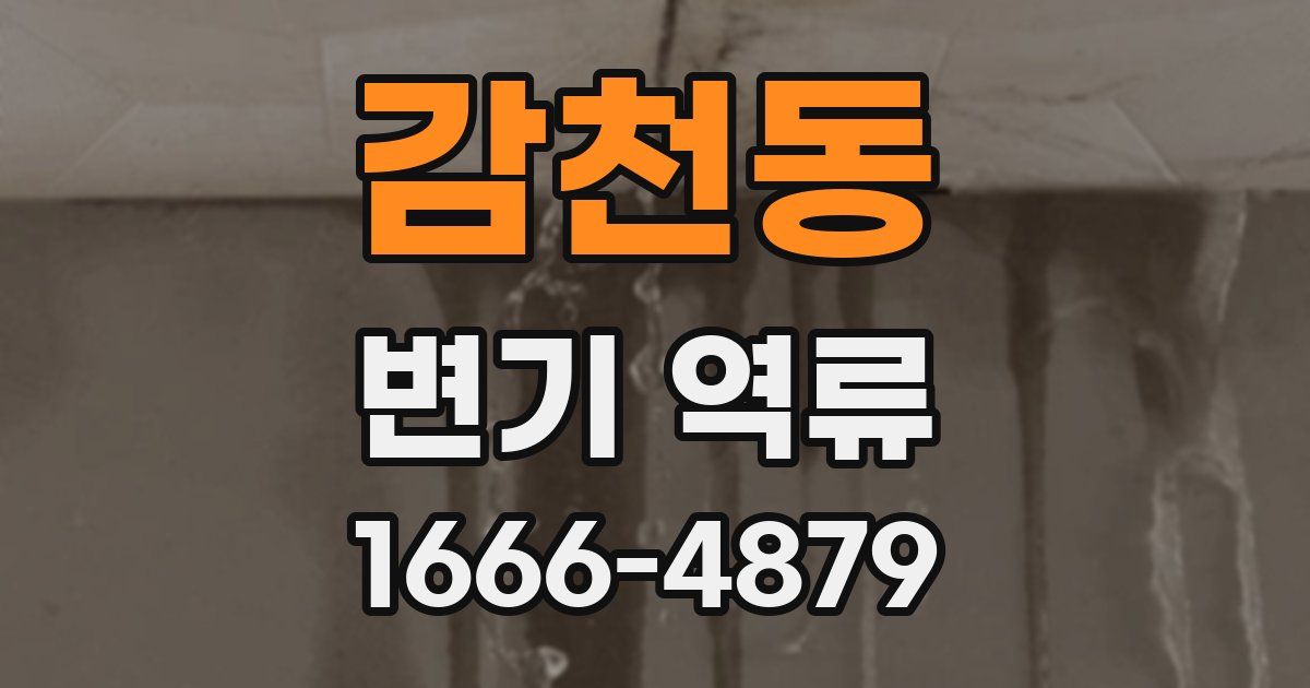 감천동 변기 역류